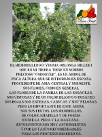 /album/recetas-de-los-productos-de-temporada/a2-jpg/